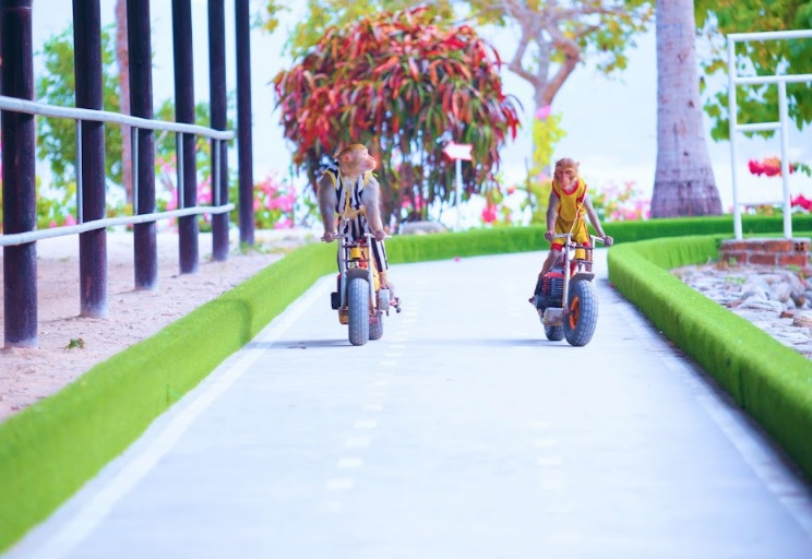Tour Đảo Khỉ Nha Trang 1 Hoạt Động Giải Trí Tour Đảo Khỉ Nha Trang
