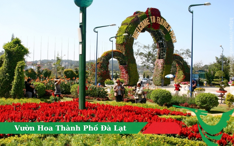 vuon-hoa-thanh-pho-da-lat