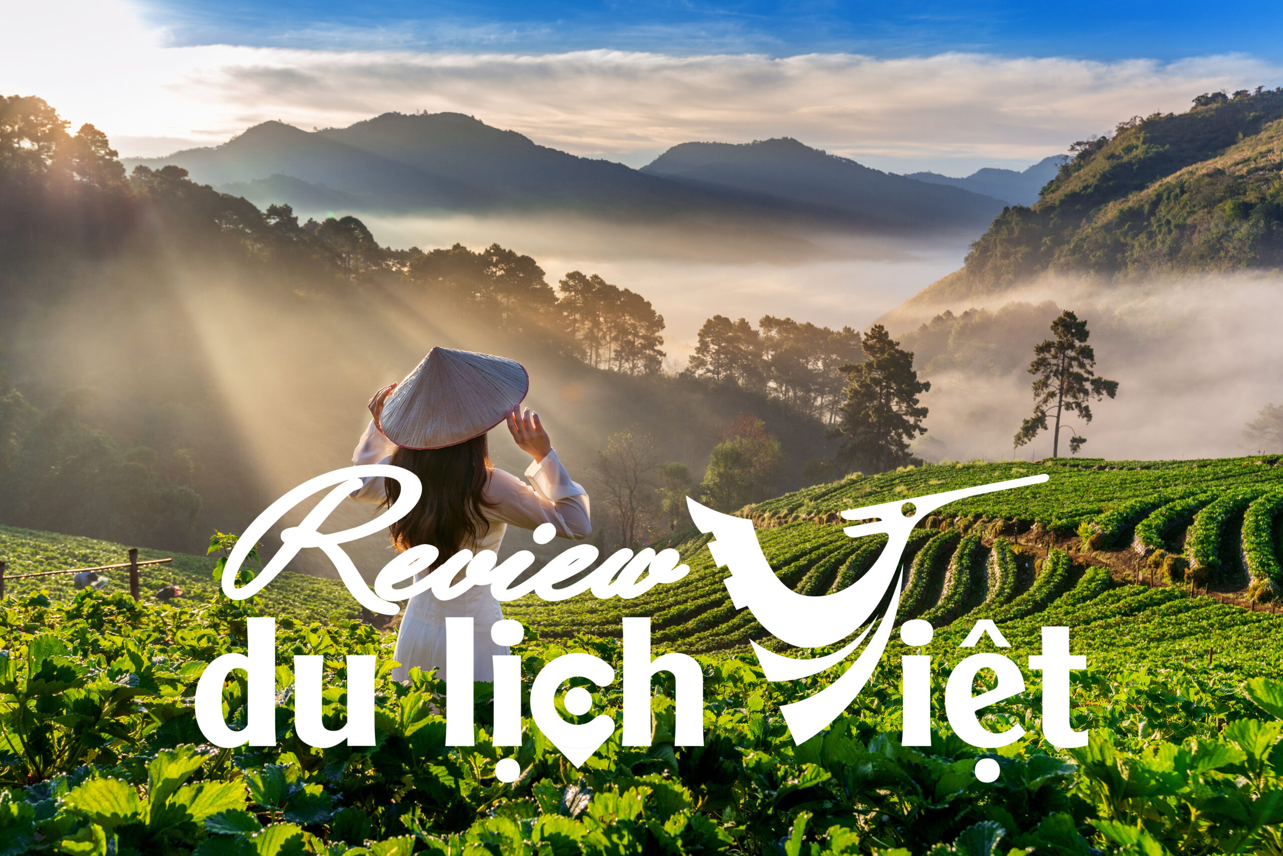 Review Du Lịch Việt Nam