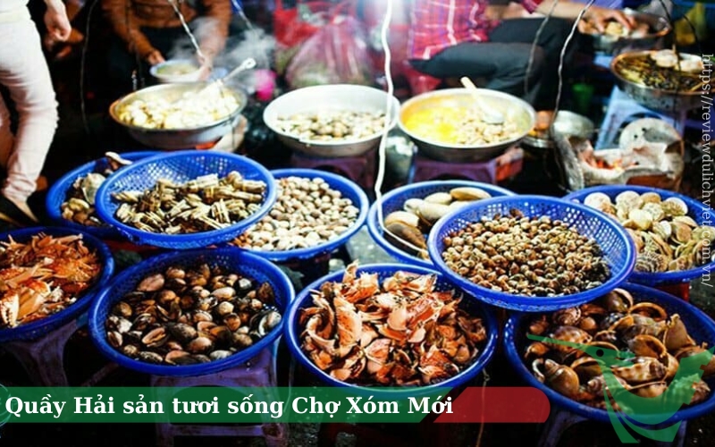 Quầy Hải Sản Tươi Sống Chợ Xóm Mới