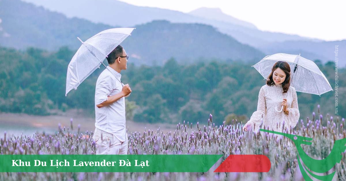 Khu Du Lịch Lavender Đà Lạt