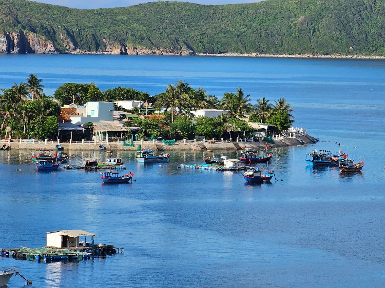 Toàn Cảnh Đảo Bích Đầm Nha Trang