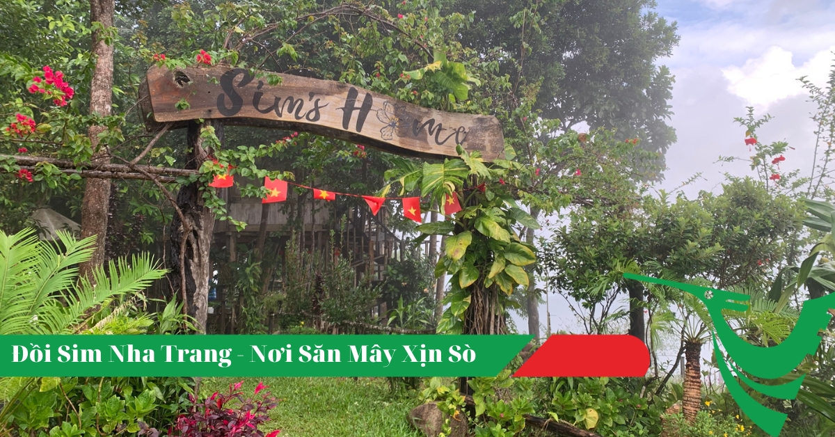 Khám Phá Trại Sim Nha Trang